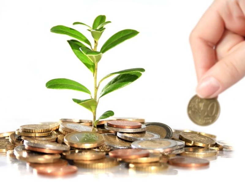 Thông tin thị trường giá cả