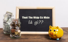 Thuế thu nhập cá nhân là gì? Đối tượng nộp thuế TNCN là ai?